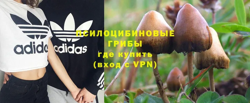 Галлюциногенные грибы Magic Shrooms  omg маркетплейс  Улан-Удэ 